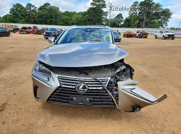 JTJGARBZ6L2162877 2020 LEXUS NX Silver Вид спереду