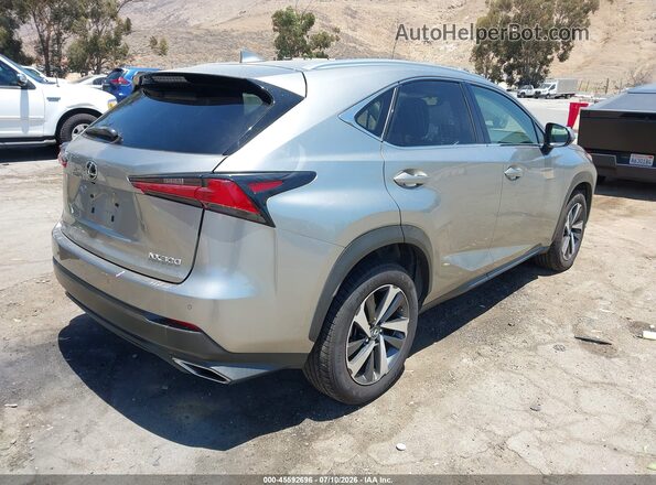 JTJGARBZ8M2188317 2021 LEXUS NX 300 Silver Задня права чверть