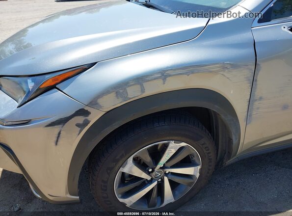 JTJGARBZ8M2188317 2021 LEXUS NX 300 Silver Вид спереду