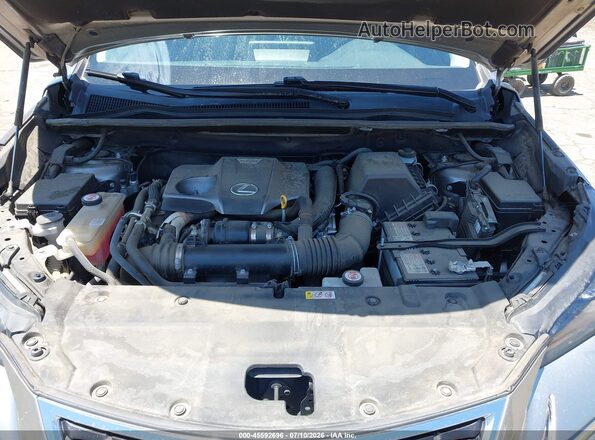 JTJGARBZ8M2188317 2021 LEXUS NX 300 Silver Вид ззаду