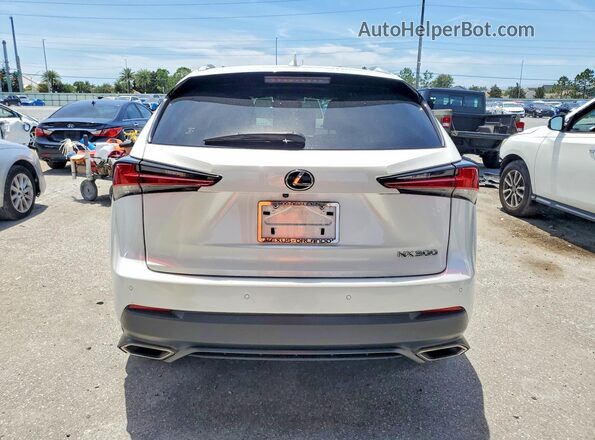 JTJGARBZ9L2169855 2020 LEXUS NX White Вид ззаду