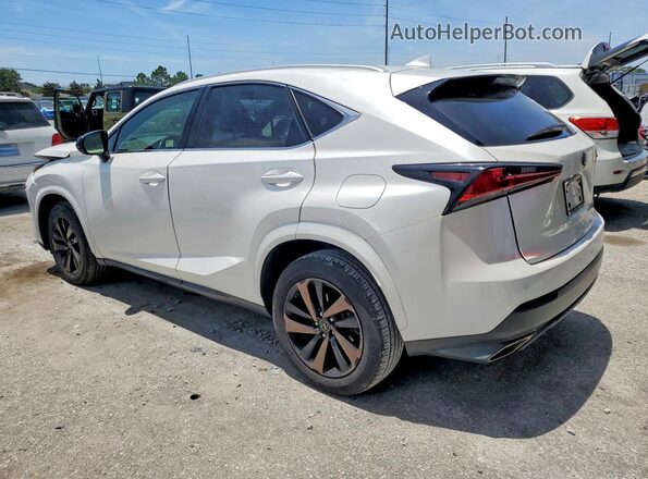 JTJGARBZ9L2169855 2020 LEXUS NX White Задня ліва чверть