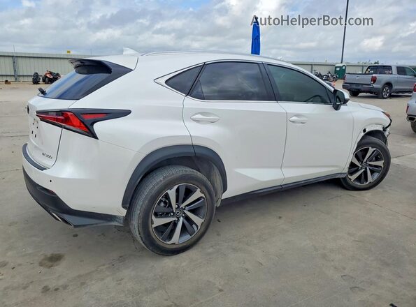 JTJGARBZ9L5016987 2020 LEXUS NX White Задня права чверть