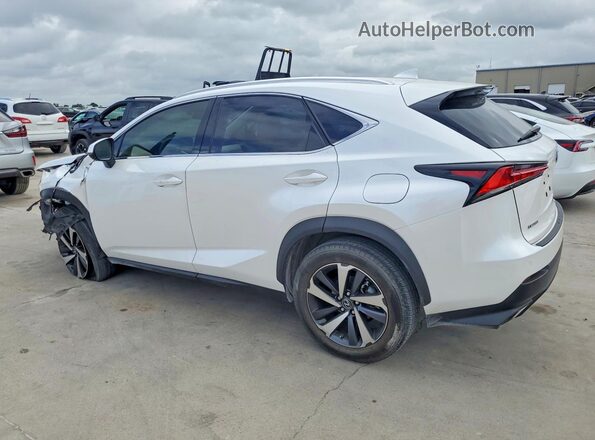 JTJGARBZ9L5016987 2020 LEXUS NX White Задня ліва чверть