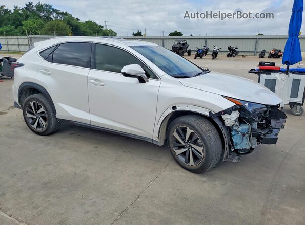 JTJGARBZ9L5016987 2020 LEXUS NX White Передня права чверть