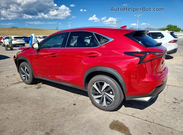 JTJGARDZ0L5012310 2020 LEXUS NX Red Trasero izquierdo