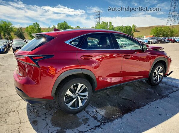 JTJGARDZ0L5012310 2020 LEXUS NX Red Trasero derecho