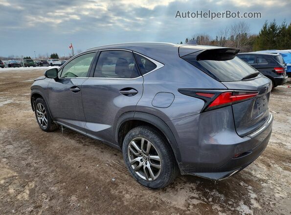 JTJGARDZ0M2259300 2021 LEXUS NX300 Gray უკანა მარცხენა