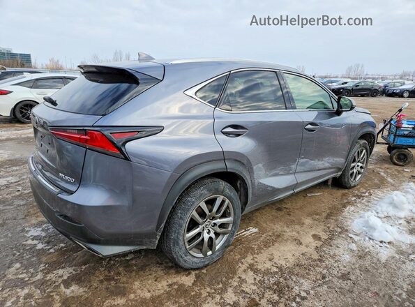 JTJGARDZ0M2259300 2021 LEXUS NX300 Gray უკანა მარჯვენა