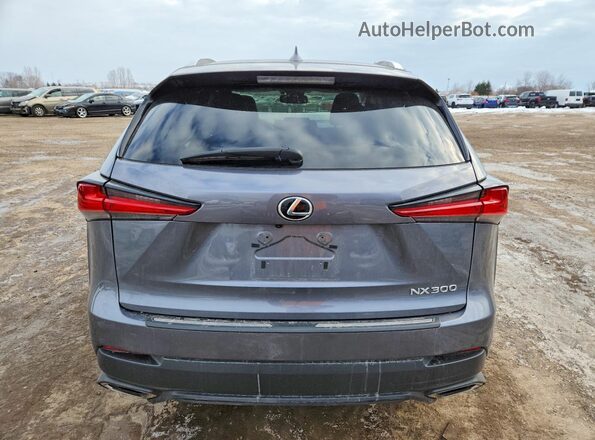 JTJGARDZ0M2259300 2021 LEXUS NX300 Gray უკანა ხედი