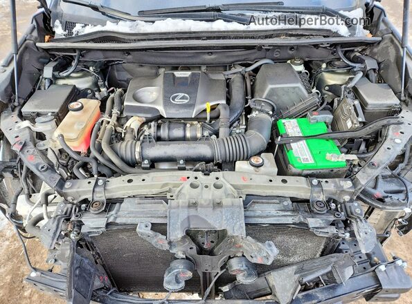 JTJGARDZ0M2259300 2021 LEXUS NX300 Gray ძრავის განყოფილების ხედი