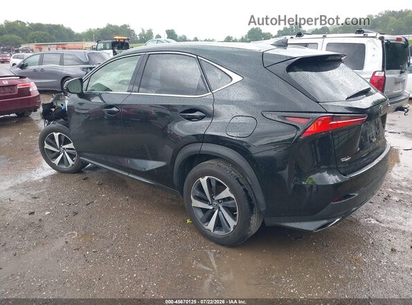 JTJGARDZ2L5003673 2020 LEXUS NX 300 Black Задня ліва чверть