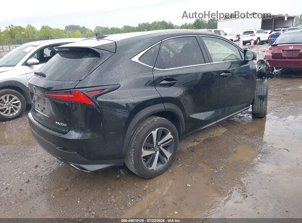JTJGARDZ2L5003673 2020 LEXUS NX 300 Black Задня права чверть