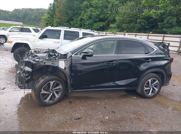 JTJGARDZ2L5003673 2020 LEXUS NX 300 Black 