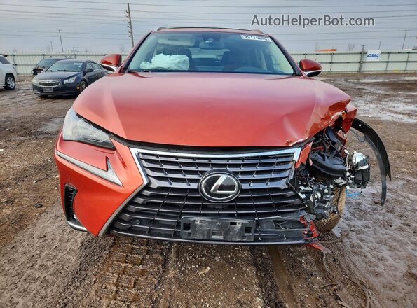 JTJGARDZ2M2238464 2021 LEXUS NX Orange Widok z przodu