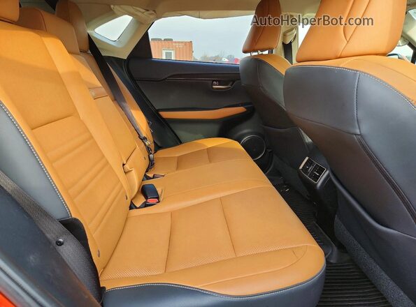 JTJGARDZ2M2238464 2021 LEXUS NX Orange Widok tylnych siedzeń