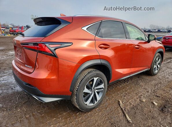 JTJGARDZ2M2238464 2021 LEXUS NX Orange Tył prawy