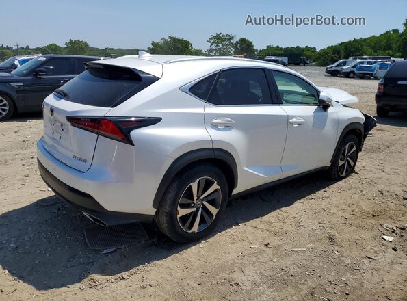 JTJGARDZ2M5019700 2021 LEXUS NX White Trasero derecho