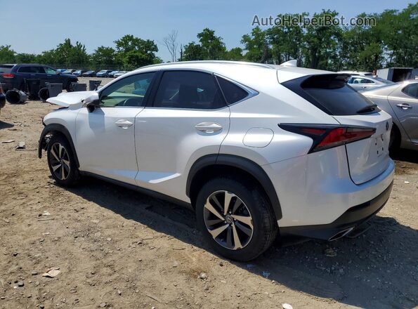 JTJGARDZ2M5019700 2021 LEXUS NX White Trasero izquierdo