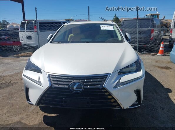 JTJGARDZ2M5023780 2021 LEXUS NX 300 White Rear interior view