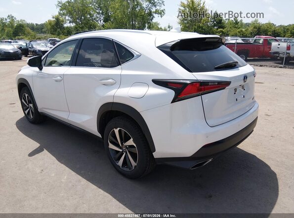 JTJGARDZ4M5024235 2021 LEXUS NX 300 White Rear left