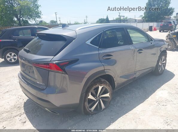 JTJGARDZ5L2226260 2020 LEXUS NX 300 Gray Задня права чверть