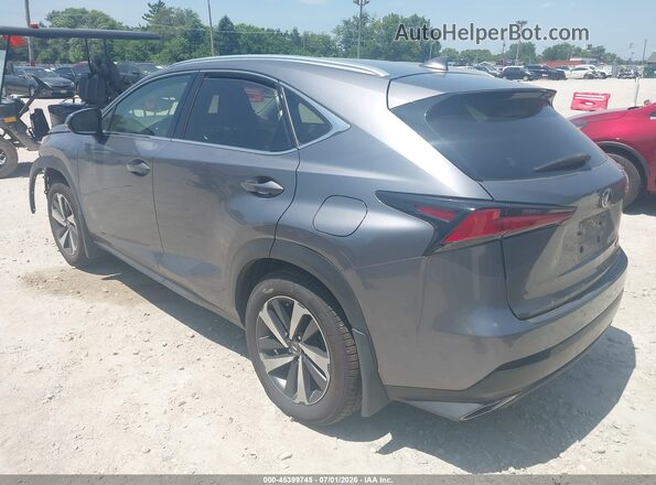 JTJGARDZ5L2226260 2020 LEXUS NX 300 Gray Задня ліва чверть