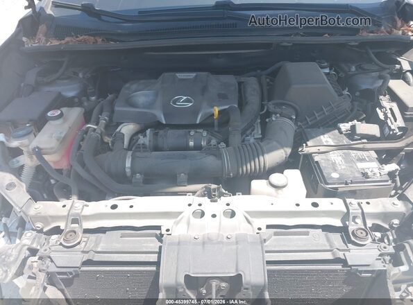 JTJGARDZ5L2226260 2020 LEXUS NX 300 Gray Вид ззаду