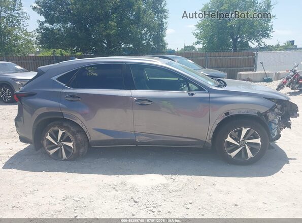 JTJGARDZ5L2226260 2020 LEXUS NX 300 Gray Вид задньої частини салону