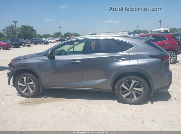JTJGARDZ5L2226260 2020 LEXUS NX 300 Gray Панорамний вид салону 360°