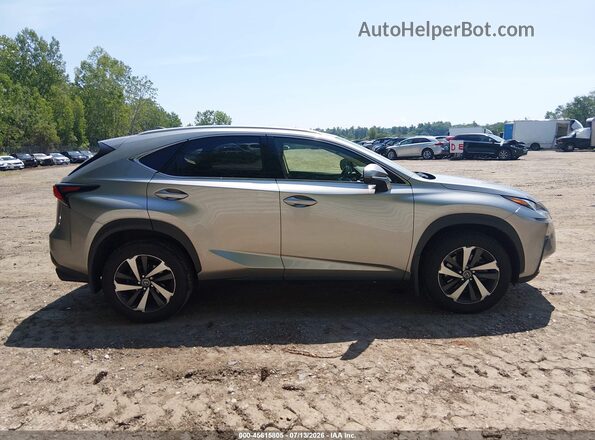 JTJGARDZ7L5008481 2020 LEXUS NX 300 Silver Սալոնի հետևի տեսք