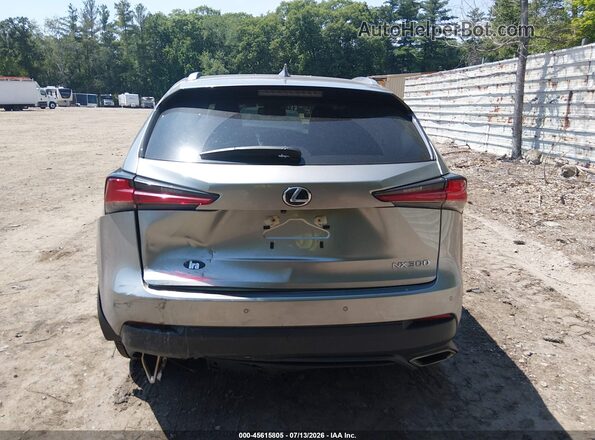 JTJGARDZ7L5008481 2020 LEXUS NX 300 Silver 