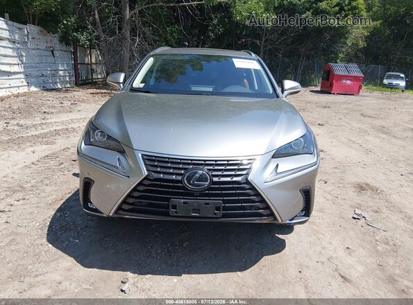 JTJGARDZ7L5008481 2020 LEXUS NX 300 Silver Սարքավորումների վահանակի տեսք