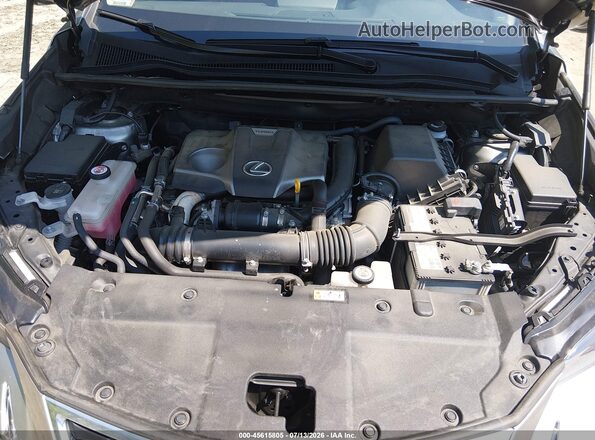 JTJGARDZ7L5008481 2020 LEXUS NX 300 Silver Հետևի տեսք