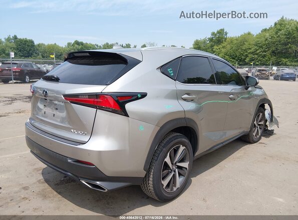 JTJGARDZ7L5012904 2020 LEXUS NX 300 Silver Задня права чверть