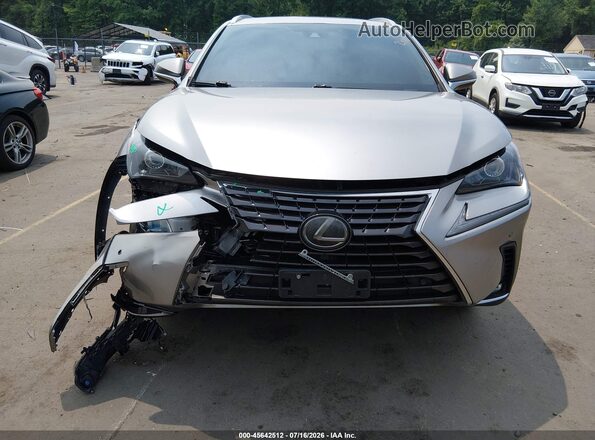 JTJGARDZ7L5012904 2020 LEXUS NX 300 Silver Вид спереду