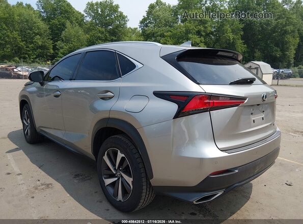 JTJGARDZ7L5012904 2020 LEXUS NX 300 Silver Задня ліва чверть