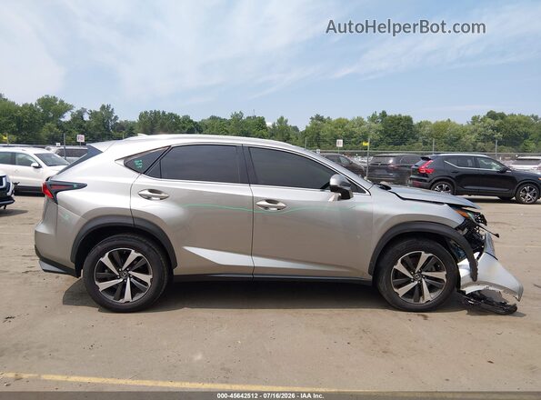 JTJGARDZ7L5012904 2020 LEXUS NX 300 Silver Вид задньої частини салону