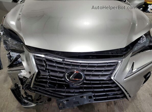 JTJGARDZ9L2223149 2020 LEXUS NX Silver Vista del compartimento del motor