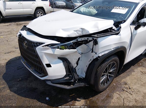 JTJGDCAZ7R5016646 2024 LEXUS NX 250 White Դիմացի տեսք