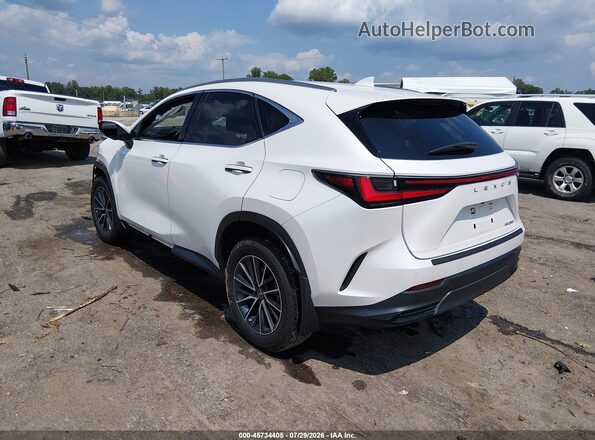 JTJGDCAZ7R5016646 2024 LEXUS NX 250 White Հետևի ձախ