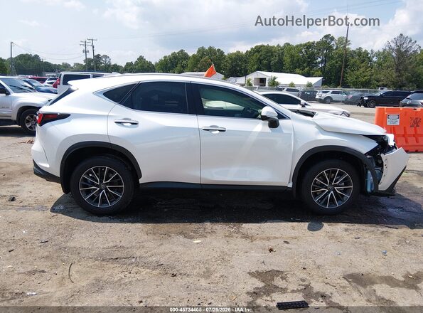 JTJGDCAZ7R5016646 2024 LEXUS NX 250 White Սալոնի հետևի տեսք