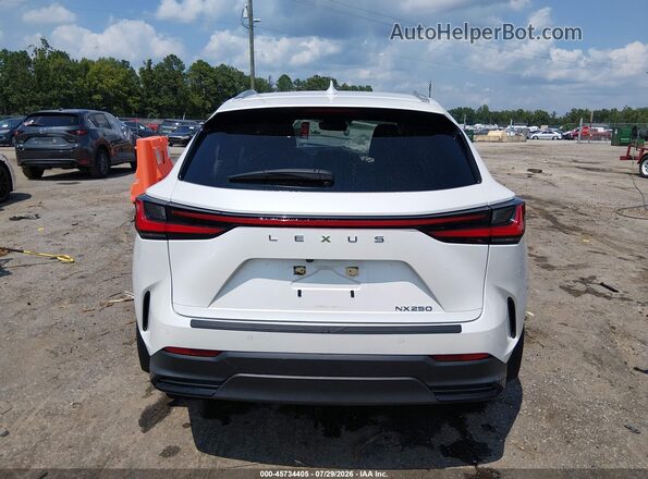 JTJGDCAZ7R5016646 2024 LEXUS NX 250 White 