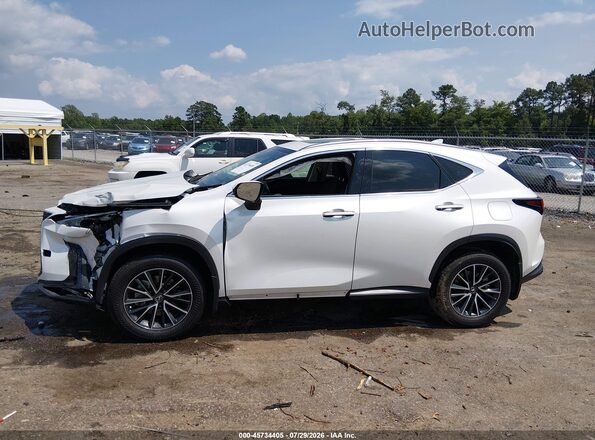 JTJGDCAZ7R5016646 2024 LEXUS NX 250 White Սալոնի 360 աստիճան տեսք
