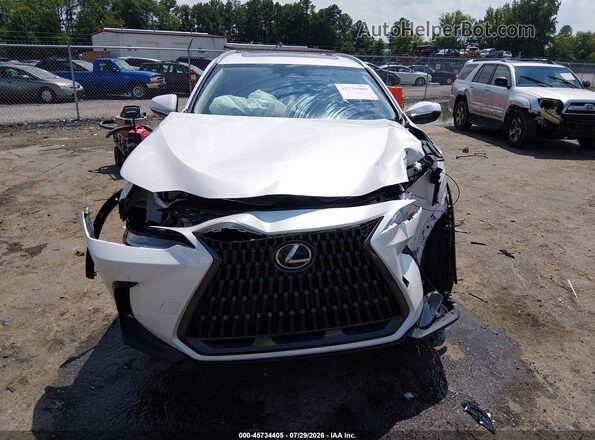 JTJGDCAZ7R5016646 2024 LEXUS NX 250 White Սարքավորումների վահանակի տեսք