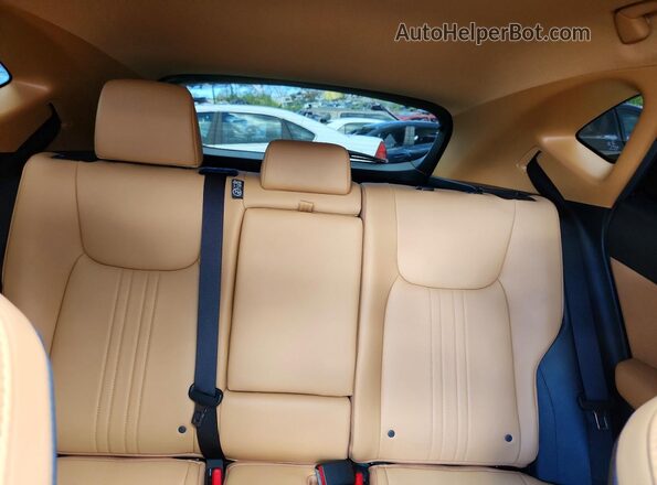 JTJGDCAZ8R2010534 2024 LEXUS NX Charcoal Rear seats view