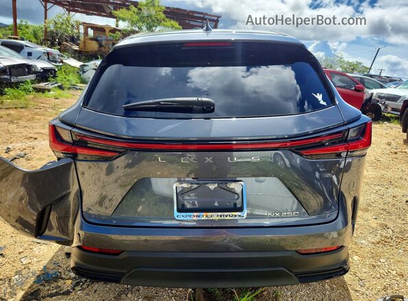 JTJGDCAZ8R2010534 2024 LEXUS NX Charcoal Rear view