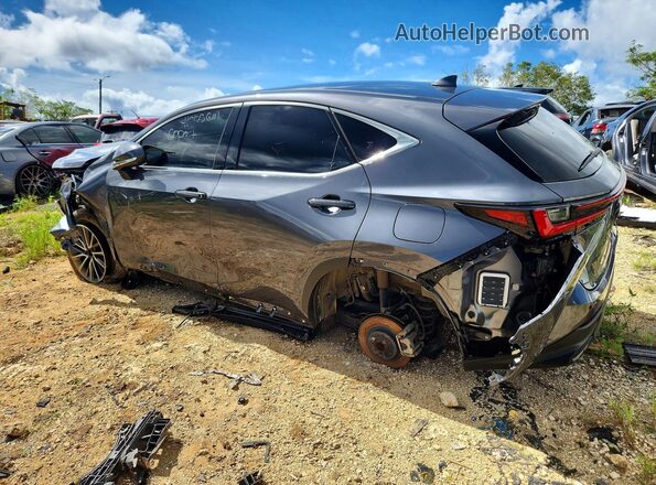 JTJGDCAZ8R2010534 2024 LEXUS NX Charcoal Rear left
