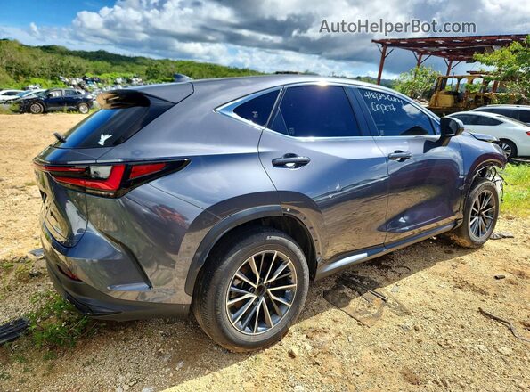 JTJGDCAZ8R2010534 2024 LEXUS NX Charcoal Rear right