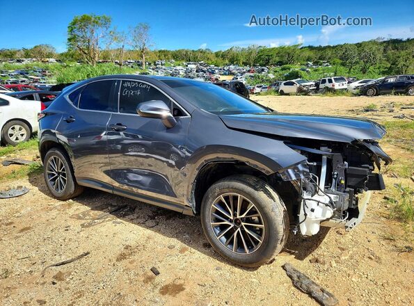 JTJGDCAZ8R2010534 2024 LEXUS NX Charcoal Front right
